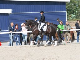 IMG_8092_web